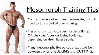 Ectomorph Endomorph or Mesomorph  Training for YOUR Body Type [upl. by Aldarcie]