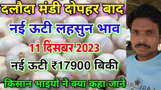 दलौदा मंडी दोपहर का नई ऊटी लहसुन का भाव 11 दिसंबर 2023 new ooty garlic rate today nai lahsun bhav [upl. by Enelrae]