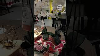 IKEA shop with me 2024  Dining room ideas 👉check out my channel for full Ikea videos shorts [upl. by Leakim]