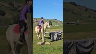 jumping a horse cover♡ horse jumping [upl. by Bendicta]