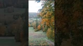 Sigulda Latvija Сигулда листопад Sigulda fall латвия travel latvia shorts rudens discover [upl. by Anaic]