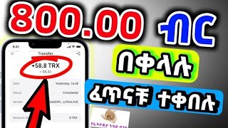 🛑በቀን እስከ quot 85000 quot ብር ድረስ ሚከፍላችሁ የ ONLINE ስራMake Money Onlineusdt order grabbing website [upl. by Timmie]