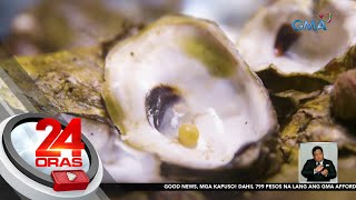 Mangingisda sa Cavite nakakuha umano ng perlas sa ibebenta niyang talaba  24 Oras [upl. by Enael143]