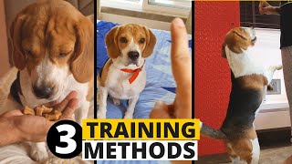 3 Types of Dog Training Which Method Is Best for Your Dog [upl. by Aurita]