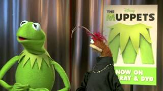 Kermit and Pepe talk up The Muppets on Bluray amp DVD with Tim Burden HD [upl. by Hirasuna]