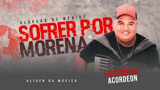 SOFRER POR MORENA TARCISIO ACORDEON [upl. by Ailat]