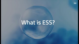 What is ESS [upl. by Vasili]