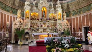 St Casimir Mass for May 7 2023 [upl. by Yslek]