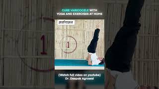 Yoga Aasan for Varicocele at Home  Part 12 varicoceletreatment yogaasanas [upl. by Yenmor880]