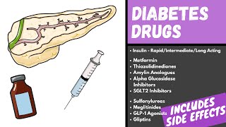 Diabetes Medication Explained  Diabetes Drugs Mechanism Side Effects and Classification [upl. by Glenine]