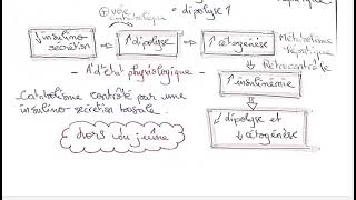 ACIDO CETOSE DIABETIQUE [upl. by Notlok]