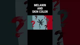 How Does Melanin Affect Skin Color shorts melanin [upl. by Aivekahs]