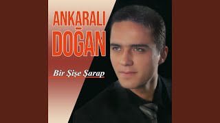 Bir Şişe Şarap [upl. by Ahtnamas]