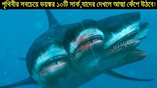 পৃথিবীর সবচেয়ে ভয়ঙ্কর ১০টি হাঙর দেখে ভয় পেয়ে যাবেন আপনিও  10 Most Rare Sharks Hidden in The Ocean [upl. by Allehc]