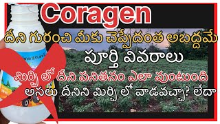 coragen clorantraniliprol18 ఈ మందు గురించి మొత్తం అబద్దమే చెప్పేది పూర్తి వివరాలు [upl. by Oicnanev]