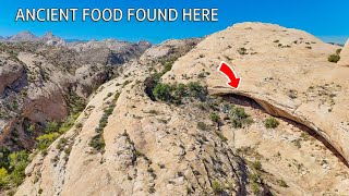 1000 Year Old Corn Stalks Found in This Hidden Cave [upl. by Anilatak552]