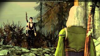 Dragon Age Origins Alistair Romance part 5 Meeting Morrigan amp Flemeth 1 [upl. by Acinnej991]