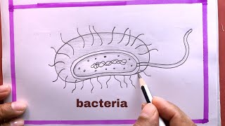 How To Draw easy Bacteria EasyDrawing Bacteria [upl. by Jacintha]