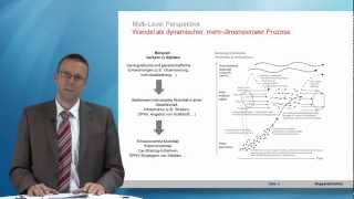 Einführung in die TransitionForschung I  Die MultiLevel Perspektive [upl. by Fattal]