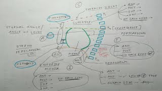 Mediastinum  Part 2  Boundaries  Thorax Anatomy  The Charsi of Medical Literature [upl. by Ivek]