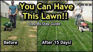 Fix an Ugly Lawn with Overseeding  Complete Step by Step Guide For Beginners [upl. by Naga]