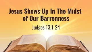 Christophanies  Part 11  Jesus Shows Up In The Midst of Our Barrenness [upl. by Llehsyt]