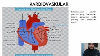 Tugas UAS Anatomi tentang quotKARDIOVASKULARquot [upl. by Pinzler]