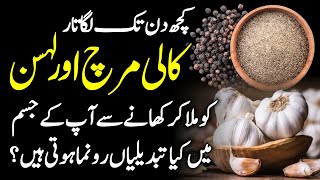 Garlic And Black Pepper Health Benefits Urdu Hindi  Lehsan Aur Kali Mirch K Fayde [upl. by Ytissahc]