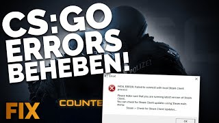 CSGO Diverse ERRORs BEHEBEN  Problemlösung  Deutsch  2024 [upl. by Ahsenrad]