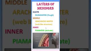 TIPS 26 COVERING OF BRAIN  LAYERS OF MENINGES [upl. by Sutelc]