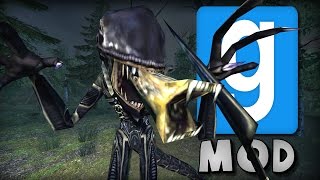 Garrys Mod ALIENS VS PREDATOR PILL PACK  Mod Showcase [upl. by Ferrick537]