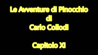 Audiolibro C Collodi Le Avventure di Pinocchio  Capitolo XI [upl. by Ahcas367]