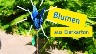 DIY  Blumen aus Eierkarton [upl. by Thorin]