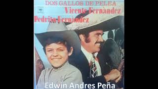 Dos Gallos De Pelea Vicente Fernandez Y Pedrito Fernández [upl. by Eceinahs]