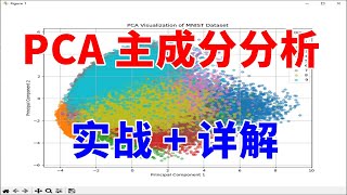 PCA 主成分分析讲了什么？具体怎么使用？十分钟包教包会！ [upl. by Lytsirk]