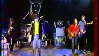 FLESHTONES  Hexbreaker  Supervindicators french TV 80s [upl. by Nevla]