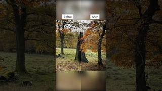 Daily Lightroom Edit 251 Tree Maiden Stump in Wicklow Mountains National Park Ireland [upl. by Siouxie]