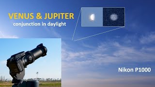 JUPITER and VENUS  very close conjunction in daylight NIKON P1000  zooming in on planets [upl. by Arabrab501]