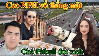 TRỰC TIẾP CEO NGUYỄN PHƯƠNG HẰNG VỔ THẲNG MẶT CHÓ PITBULL ĐỨT XÍCH TẠI TRƯỜNG ĐUA ​⁠ [upl. by Adianez764]