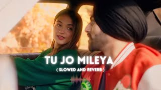 Tu Jo Mileya  Slowed amp Reverb  MixSingh  Shruti Bakshi  Juss  New Punjabi Romantic Song 2024 [upl. by Ednyl]