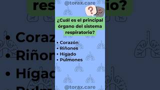 ¿Cuánto sabes de los pulmones preguntasyrespuestas preguntadeldía anatomia medicina pulmones [upl. by Arria]