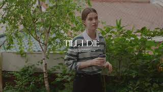 TILLIDIE 2024 FW 1 Cotton stripe base collar polo tshirtGray [upl. by Adolpho]