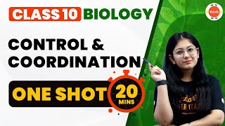 Control and Coordination Class 10 One Shot in 20 Mins  NCERT Biology Class10 Chapter 2  CBSE 2024 [upl. by Marketa]