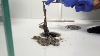 How to unclog and clean your shower drain easily [upl. by Ardyaf]