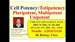 Cell Potency  Totipotency  Pluripotent  Multipotent  Unipotent  CSIR NET LIFESCEINCE [upl. by Nairahcaz442]