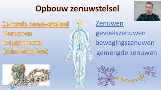 Zenuwstelsel  thema 5 regeling Biodam  1 van 3 [upl. by Burley]