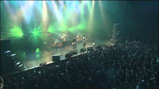 The Pillows Born Again Live  9 Biography [upl. by Mitran]