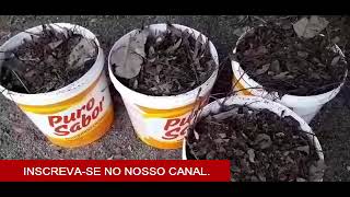 Como Fazer Compostagem de Folhas Secas e Galhos de Plantas e Esterco de Gado [upl. by Attiuqehs]