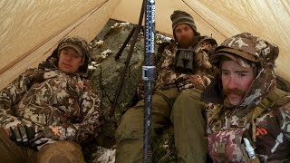 Steven Rinella on the Grizzly Bear of his Dreams [upl. by Eessac73]