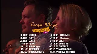 Gregor Meyle  UNPLUGGED TOUR 2024 [upl. by Naoh]